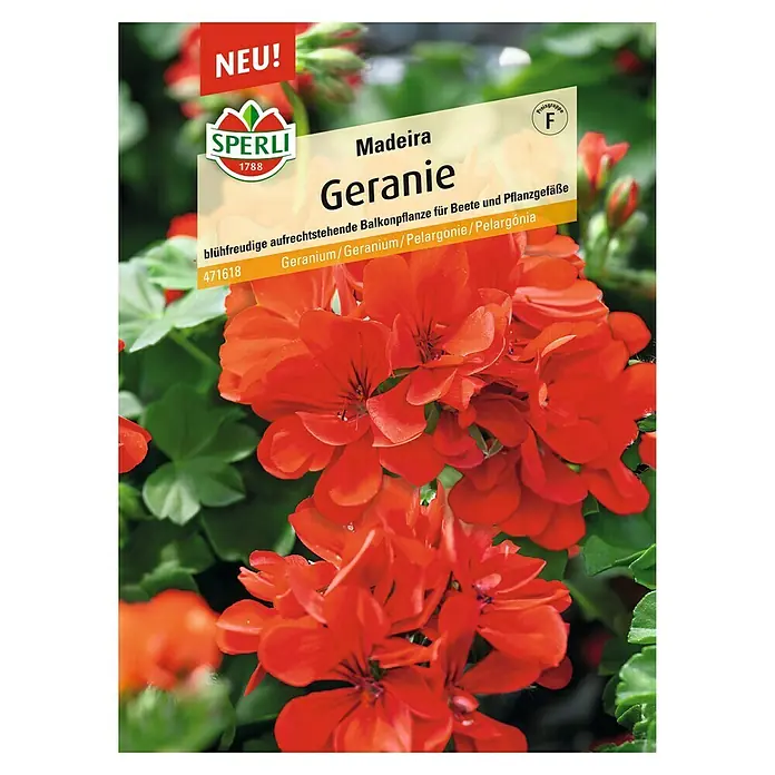 Sperli Blumensamen Geranie Madeira - Pelargonium zonale, Rot - Das Bild zeigt eine Samenpackung "Madeira Geranie" von Sperli, die eine blühfreudige, aufrechtstehende Balkonpflanze für Beete und Pflanzgefäße verspricht.