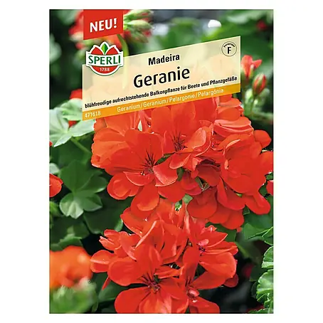 Sperli  Blumensamen Geranie Madeira