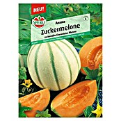 Sperli Obstsamen Zuckermelone (Cucumis melo 'Anasta', Erntezeit: August) | BAUHAUS