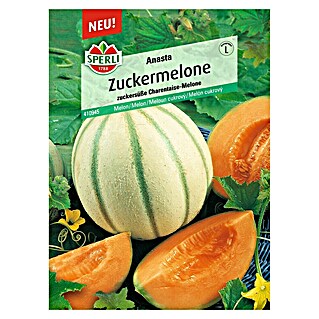 Sperli Obstsamen Zuckermelone (Cucumis melo 'Anasta', Erntezeit: August)
