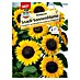 Sperli Blumensamen Sonnenblume Peredovick 
