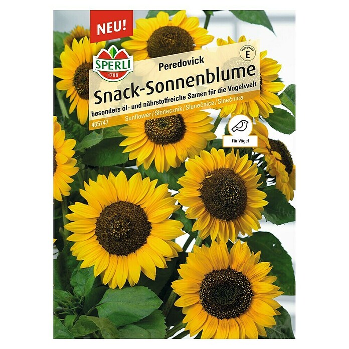 Sperli Blumensamen Sonnenblume Peredovick (Helianthus annuus 'Peredovick', Gelb) | BAUHAUS