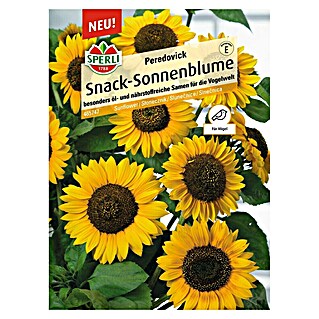 Sperli Blumensamen Sonnenblume Peredovick (Helianthus annuus 'Peredovick', Gelb)