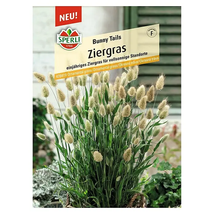 Sperli Saatgut Ziergras - Lagurus ovatus, 0,1 g - Samentüte Ziergras 'Bunny Tails' von Sperli. Einjähriges Ziergras für sonnige Standorte, ideal für Garten und Beet.