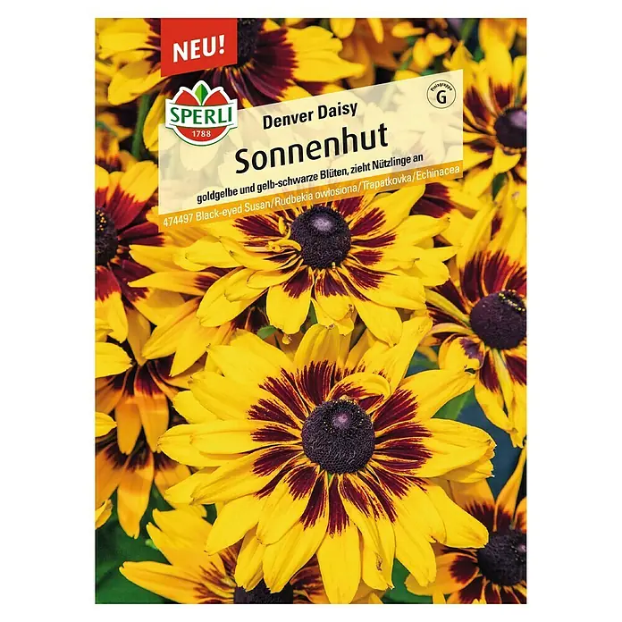 Sperli Blumensamenmischung Sonnenhut Denver Daisy - Rudbeckia hirta, Zweifarbig/Gelb - Samentüte Denver Daisy Sonnenhut von Sperli, mit goldgelben und gelb-schwarzen Blüten, ideal für den Garten.