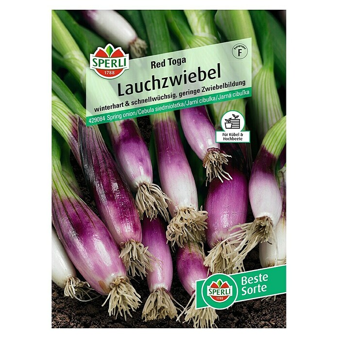 Sperli Gemüsesamen Lauchzwiebel Red Toga ((Allium fistulosum, Erntezeit: Juni, 20 m²) | BAUHAUS