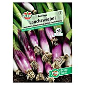 Sperli Gemüsesamen Lauchzwiebel Red Toga ((Allium fistulosum, Erntezeit: Juni, 20 m²) | BAUHAUS
