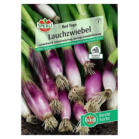 Sperli  Gemüsesamen Lauchzwiebel Red Toga