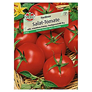 Sperli Gemüsesamen Salat-Tomaten (Solanum lycopersicum, Saatzeit: Februar, Erntezeit: Juli)
