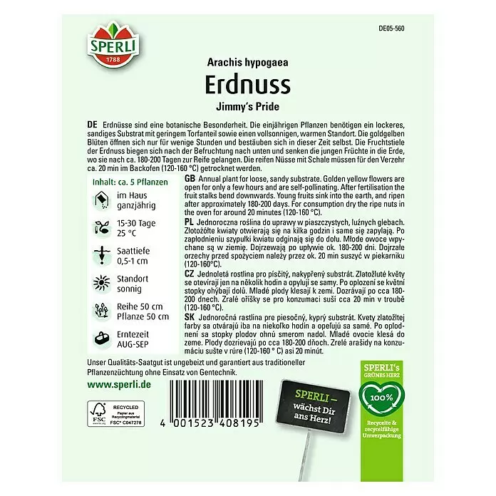 Sperli Gemüsesamen ErdnussArachis hypogaea, Saatzeit: Ganzjährig, Erntezeit: August