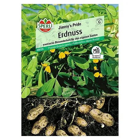 Sperli  Gemüsesamen Erdnuss