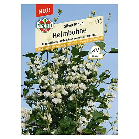 Sperli  Blumensamen Helmbohne Silver Moon