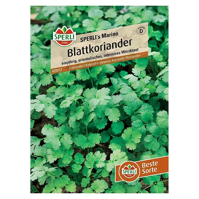 Sperli Gemüsesamen Blattkoriander - Coriandrum sativum, Saatzeit: April, Erntezeit: Juni - SPERLI's Marino Blattkoriander: Einjähriges, orientalisches Würzkraut. Ideal für intensive Aromen in der Küche. Beste Sorte für Ihren Garten.