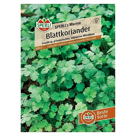 Sperli  Gemüsesamen Blattkoriander