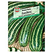 Sperli Gemüsesamen Zucchini (Cucurbita pepo 'Striato d'Italia') | BAUHAUS