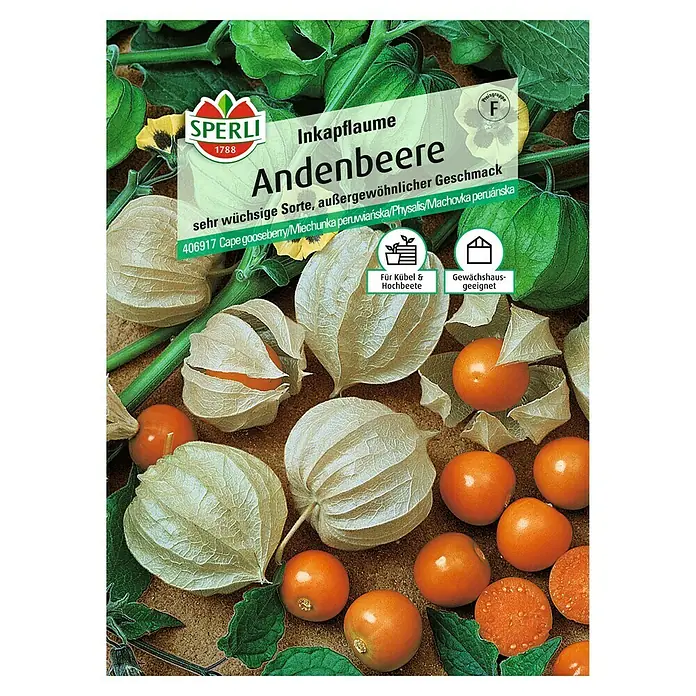 Sperli Obstsamen Andenbeeren - Physalis peruviana, Erntezeit: August - Samenpackung Andenbeere von Sperli. Die Andenbeere ist eine wüchsige Sorte mit außergewöhnlichem Geschmack und ideal für Kübel und Gewächshäuser.