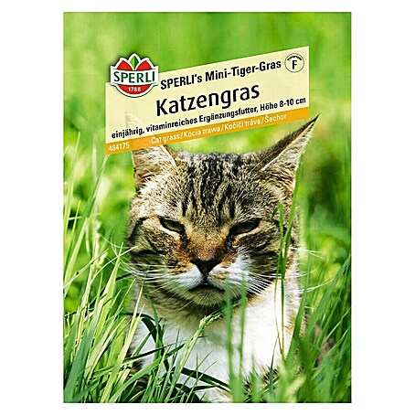 Sperli Saatgut Katzengras (Mischung, Saatzeit: Ganzjährig, Erntezeit: Ganzjährig, 1,5 m²)
