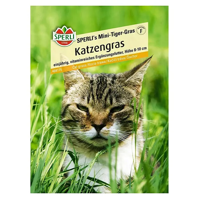 Sperli Saatgut Katzengras - Mischung, Saatzeit: Ganzjährig, Erntezeit: Ganzjährig, 1,5 m² - Packung Katzengras "Mini-Tiger-Gras" von Sperli. Einjähriges, vitaminreiches Ergänzungsfutter für Katzen.