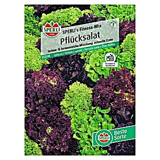Sperli Salatsamen Pflücksalat (Lactuca sativa, Erntezeit: Mai, 1,3 g)