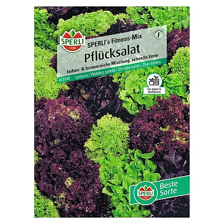 Sperli  Salatsamen Pflücksalat