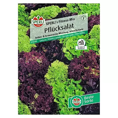 Sperli  Salatsamen Pflücksalat