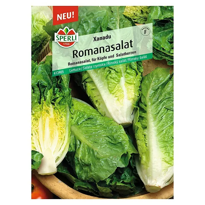 Sperli Gemüsesamen Romanasalat - Lactuca sativa, Saatzeit: März, Erntezeit: Mai - Abbildung des Romanasalat-Samens von Sperli, Sorte Xanadu.