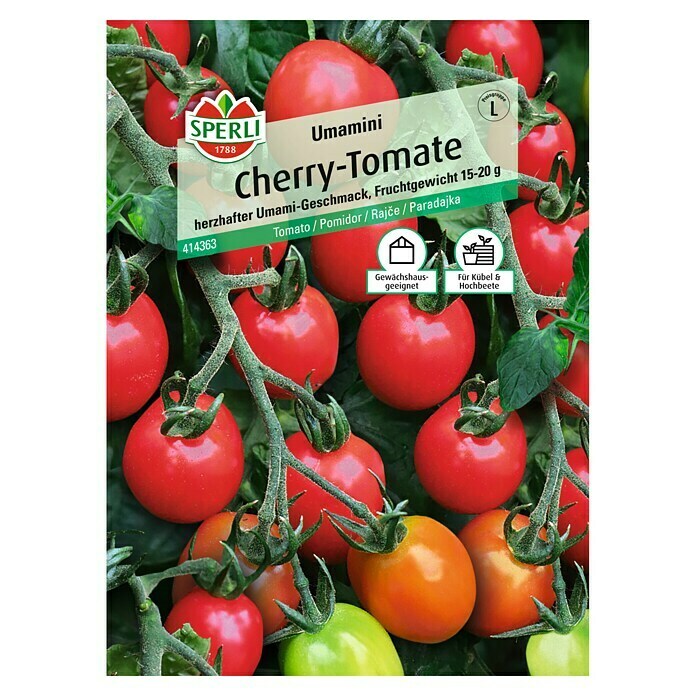 Sperli Gemüsesamen Cherrytomate Umamini (Solanum lycopersicum, Erntezeit: Juli) | BAUHAUS