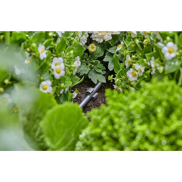 Gardena Micro-Drip Rohrhalter - 15 Stk., Größe Anschluss: ³⁄₁₆″ - Nahaufnahme einer Bewässerungsleitung in einem Blumenbeet, umgeben von üppigem Grün und zarten weißen Blüten, die Feuchtigkeit spendet.