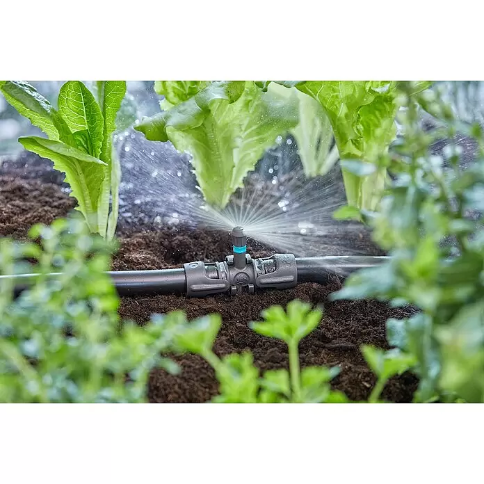 Gardena Micro-Drip Sprühdüse 180° - 5 Stk., 180 ° - Grauer Mikro-Sprinkler mit blauem Akzent, an schwarzem Bewässerungsrohr, bewässert frische grüne Salatpflanzen.