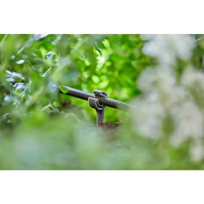 Gardena Micro-Drip Rohrhalter - 15 Stk., Größe Anschluss: ³⁄₁₆″ - Detailaufnahme einer schwarzen Bewässerungsleitung mit Halterung inmitten üppiger grüner Pflanzen. Ideal für Gartenbewässerungssysteme.