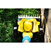 Gloria Power for All 18V Akku-Rasenmäher Grasschere FineCut 18V (18 V, Ohne Akku, Schnittbreite: 25 cm) | BAUHAUS