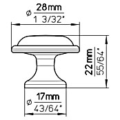 Siro Gumb za pohištvo  (Vrsta pohištvenega ročaja: Gumb, Ø x V: 28 x 22 mm, Jeklo, Zlata) | 1150 - Möbelknöpfe und Griffe | AAEB - Möbelbeschläge | AAE - Beschläge | AA - Eisenwaren | A - Eisenwaren | BAUHAUS