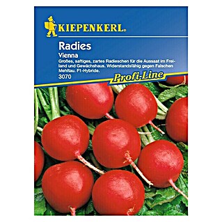 Kiepenkerl Profi-Line Gemüsesamen Radieschen (Raphanus sativus var. sativus, Saatzeit: März, Erntezeit: April)
