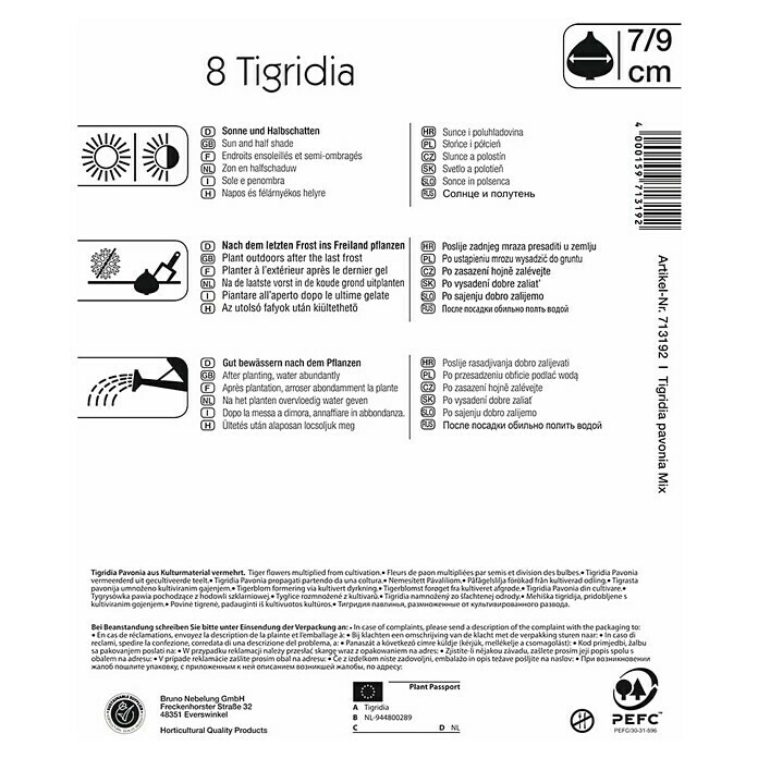 Kiepenkerl Sommerblumenzwiebeln Tigerblume (Tigrida, 8 Stk.) | BAUHAUS
