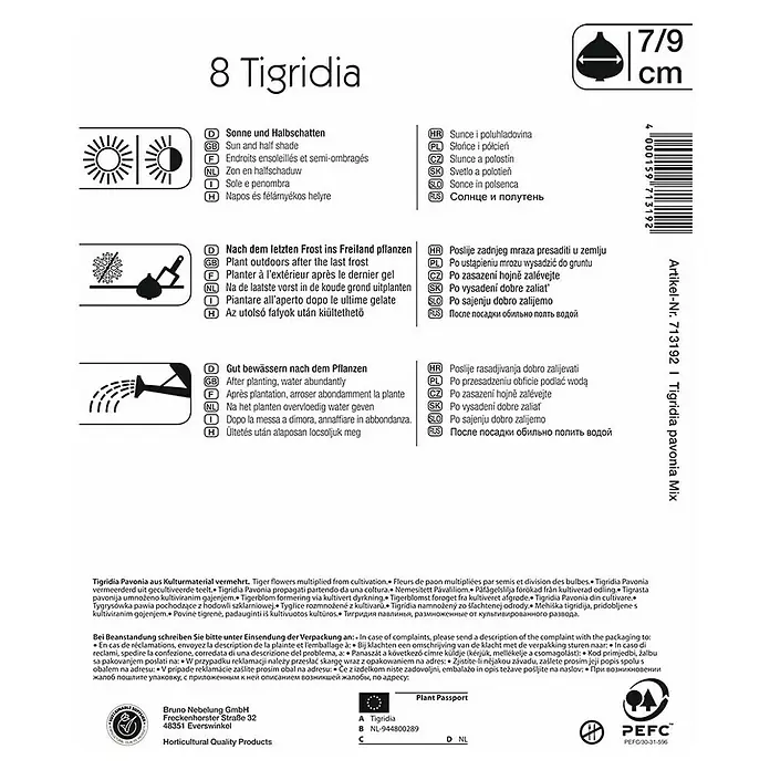 Kiepenkerl Sommerblumenzwiebeln Tigerblume - Tigrida, 8 Stk. - Bild einer Tigridia-Produktverpackung mit Anweisungen zu Sonne, Pflanzung und Bewässerung.