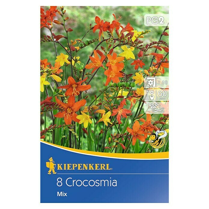 Kiepenkerl Sommerblumenzwiebeln Montbretie (Crocosmia, 8 Stk.) | BAUHAUS