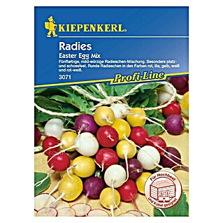 Kiepenkerl Profi-Line Gemüsesamen Radieschen (Raphanus sativus var. sativus, Saatzeit: April, Erntezeit: Juli)
