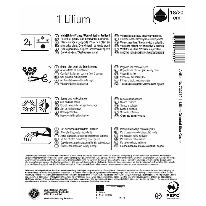 Kiepenkerl Sommerblumenzwiebeln Lilie 'Stargazer' - Lilium, 1 Stk. - Produktinformationen für Lilium Oriental Star Gazer, Hinweise zu Pflanzung, Pflege und Verwendung.