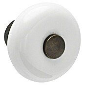 Siro Gumb za pohištvo  (Vrsta pohištvenega ročaja: Gumb, Ø x V: 31 x 30 mm, Porcelan, Bela/Rjava) | 1150 - Möbelknöpfe und Griffe | AAEB - Möbelbeschläge | AAE - Beschläge | AA - Eisenwaren | A - Eisenwaren | BAUHAUS
