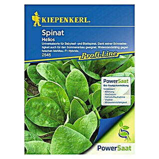 Kiepenkerl Profi-Line Gemüsesamen Spinat PowerSaat (Spinacia oleracea, Saatzeit: März, Erntezeit: April)