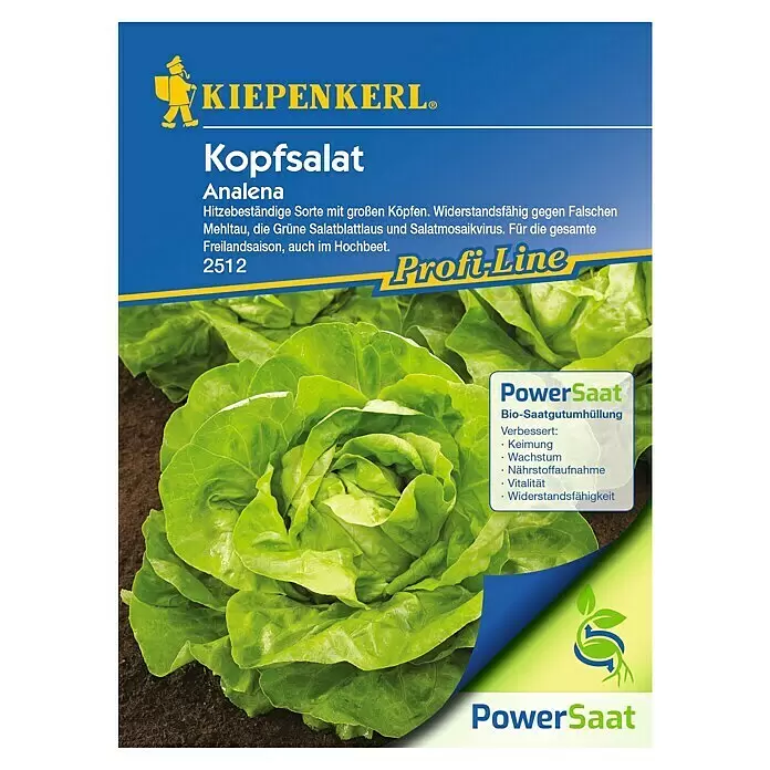 Kiepenkerl Profi-Line Salatsamen Kopfsalat PowerSaat - Lactuca sativa, Erntezeit: Mai - KIEPENKERL® Kopfsalat Analena Saatgut. Hitzebeständige Sorte mit PowerSaat Bio-Saatgutumhüllung für besseres Wachstum und Widerstandsfähigkeit.