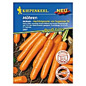 Kiepenkerl Profi-Line Gemüsesamen Möhren (Daucus carota, Saatzeit: März, Erntezeit: Mai) | BAUHAUS