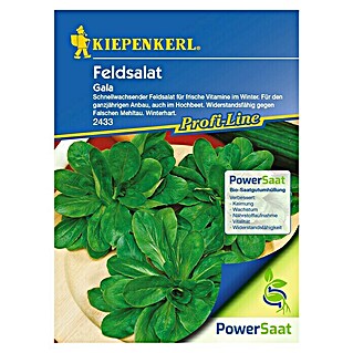Kiepenkerl Profi-Line Salatsamen Feldsalat PowerSaat (Valerianella locusta, Erntezeit: Ganzjährig, 2,3 g)