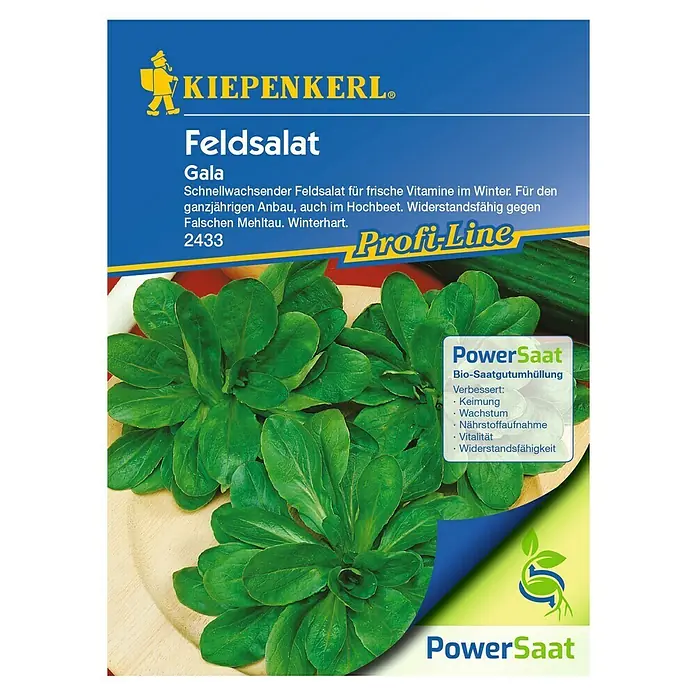Kiepenkerl Profi-Line Salatsamen Feldsalat PowerSaat - Valerianella locusta, Erntezeit: Ganzjährig, 2,3 g - Feldsalat 'Gala' von Kiepenkerl: Schnellwachsender, winterharter Feldsalat für ganzjährigen Anbau. Ideal für Beet und Hochbeet.