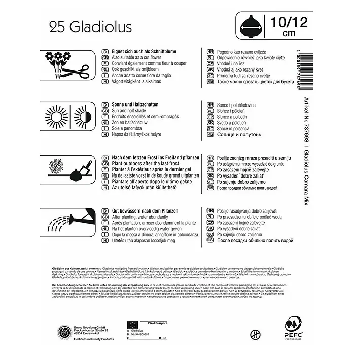 Kiepenkerl Sommerblumenzwiebeln Gladiolen 'Camara'-Mix - Gladiolus, 25 Stk. - Produktetikett für 25 Gladiolen mit Pflanzhinweisen zu Standort, Pflanzzeitpunkt und Bewässerung.