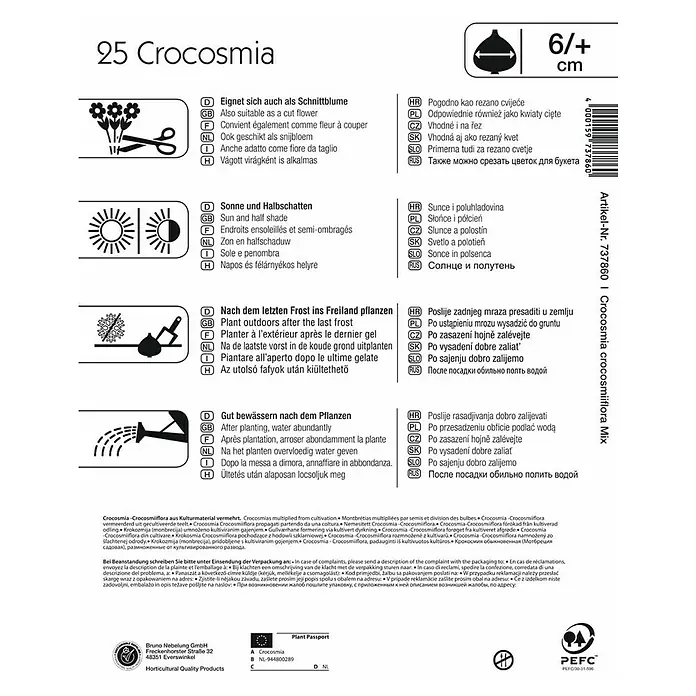 Kiepenkerl Sommerblumenzwiebeln Montbretien - Crocosmia, 25 Stk. - Produktverpackung für 25 Crocosmia-Blumenzwiebeln, die sich als Schnittblumen eignen und sonnige Standorte bevorzugen.
