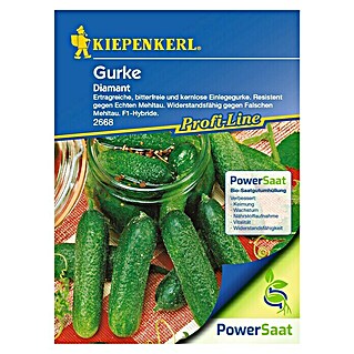 Kiepenkerl Profi-Line Gemüsesamen Gurken PowerSaat (Cucumis sativus, Saatzeit: April, Erntezeit: Juli)