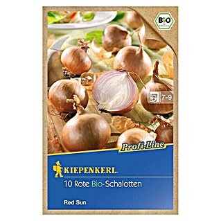 Kiepenkerl Steckzwiebeln Bio Red Sun (Allium cepa var. ascalonicum, Erntezeit: August - September)