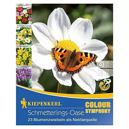 Kiepenkerl  Sommerblumenzwiebel-Mix Schmetterlingsoase