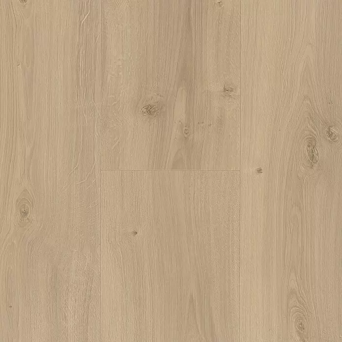 Parador Laminat Basic 600 - Eiche Avant geschliffen, Landhausdiele, 1.285 x 243 x 8 mm - Heller Eichenlaminatboden mit natürlicher Maserung und Ästen.
